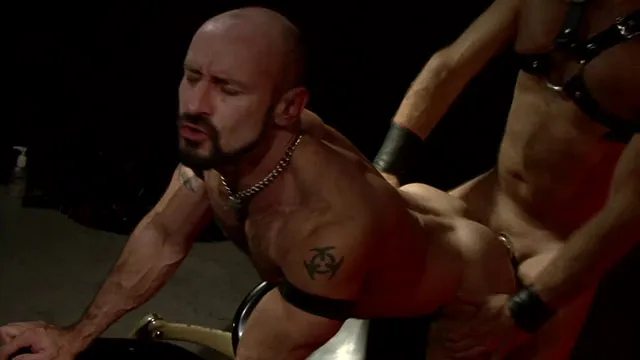 Screenshot 9 from Bear Party