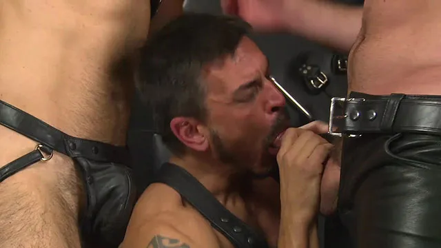 Screenshot 5 from The Best...