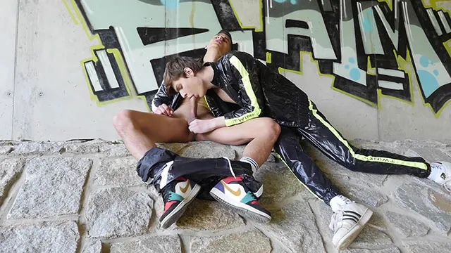 Screenshot 21 from Twinks Horsing Around