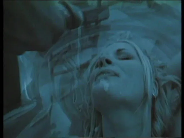 Screenshot 15 from Hart an der Grenze 19