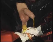 Screenshot 6 from Die Gummi-Sklaven Klinik