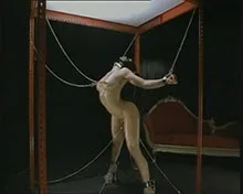 Screenshot 1 from Rocco The Fashionista (2-Ton)