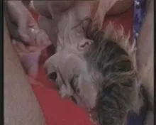 Screenshot 6 from Extrem Hart an der Grenze 2(2xDVDs)
