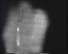 Screenshot 6 from Real Hidden Video 2