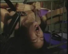 Screenshot 5 from In the Bush