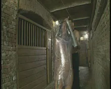 Screenshot 4 from Ekel ist Mangel an Gehorsam (Der schwarze Dorn)
