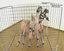 Screenshot 16 from Bound By Fantasy