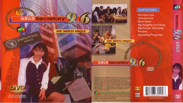 SECRETARY 9 TO 6