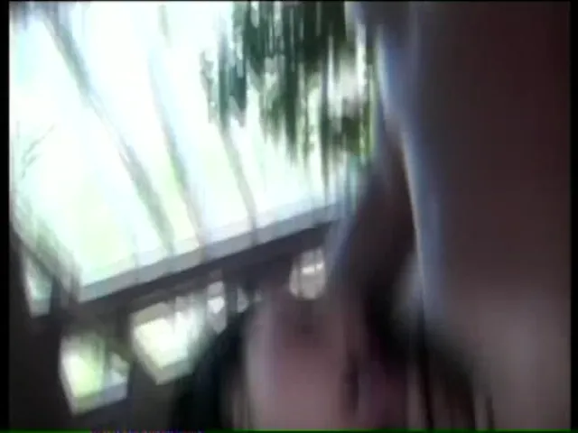 Transsexual Scene
