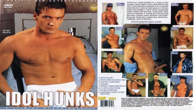 Idol Hunks