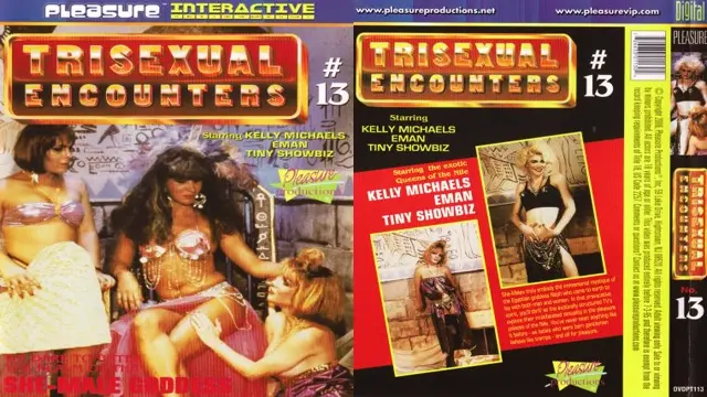 Trisexual Encounters 13